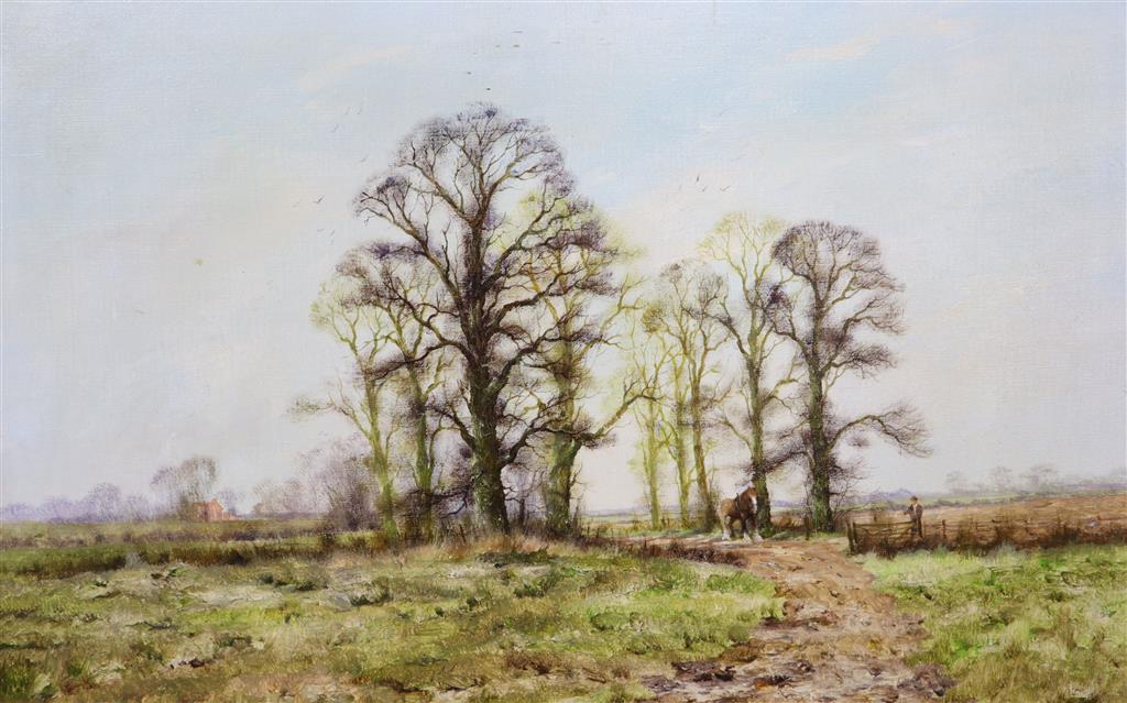 Alwyn Crawshaw (b.1934) Shire horse and trees in a landscape 50 x 75cm